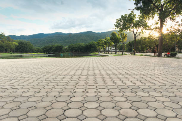 Best Custom Driveway Pavers  in Feather Sound, FL